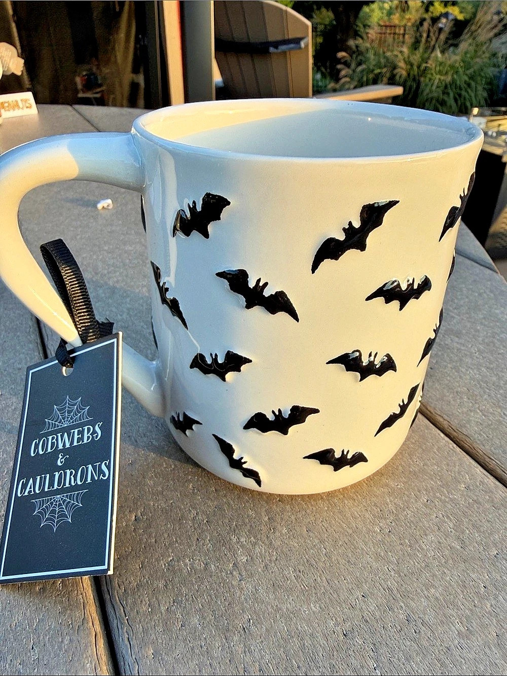 Cobwebs & Cauldrons Bat Embossed Ceramic Mug White & Black